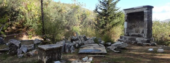 [ID: AdHgCaP-Ew0] Youtube Automatic