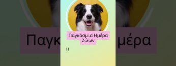 [ID: mWYt8ocNwGg] Youtube Automatic