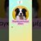 [ID: mWYt8ocNwGg] Youtube Automatic