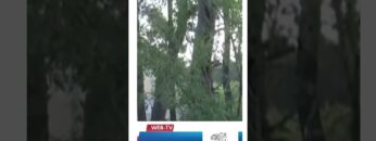 [ID: Xzh3mfYqmfg] Youtube Automatic